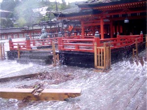 廿日市市 厳島神社の被災状況