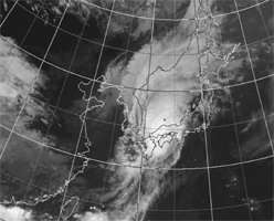 平成16年18号台風気象衛星写真