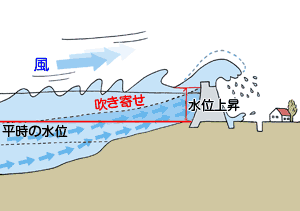 風による吹き寄せ効果